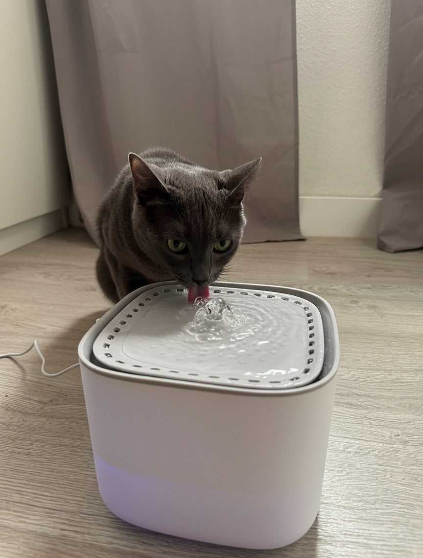 Fuente de agua para mascotas